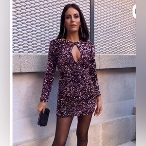 Zara Dress, Mini, Velvet, Sequins, Pink size xs